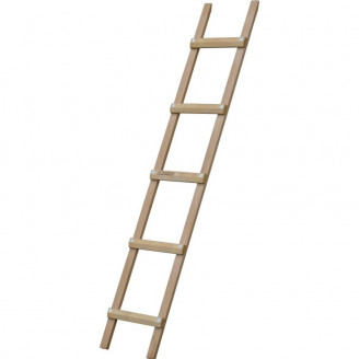 Echelle de couvreur longueur 200 cm écart entre échelons 39 cm