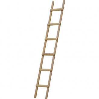 Echelle de couvreur longueur 250 cm écart entre échelons 39 cm