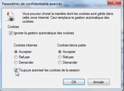 activer cookies internet explorer 3